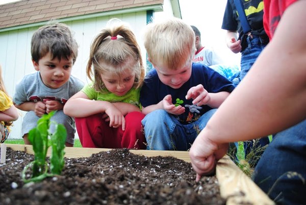 How to Teach Children about Sustainability Waste to
